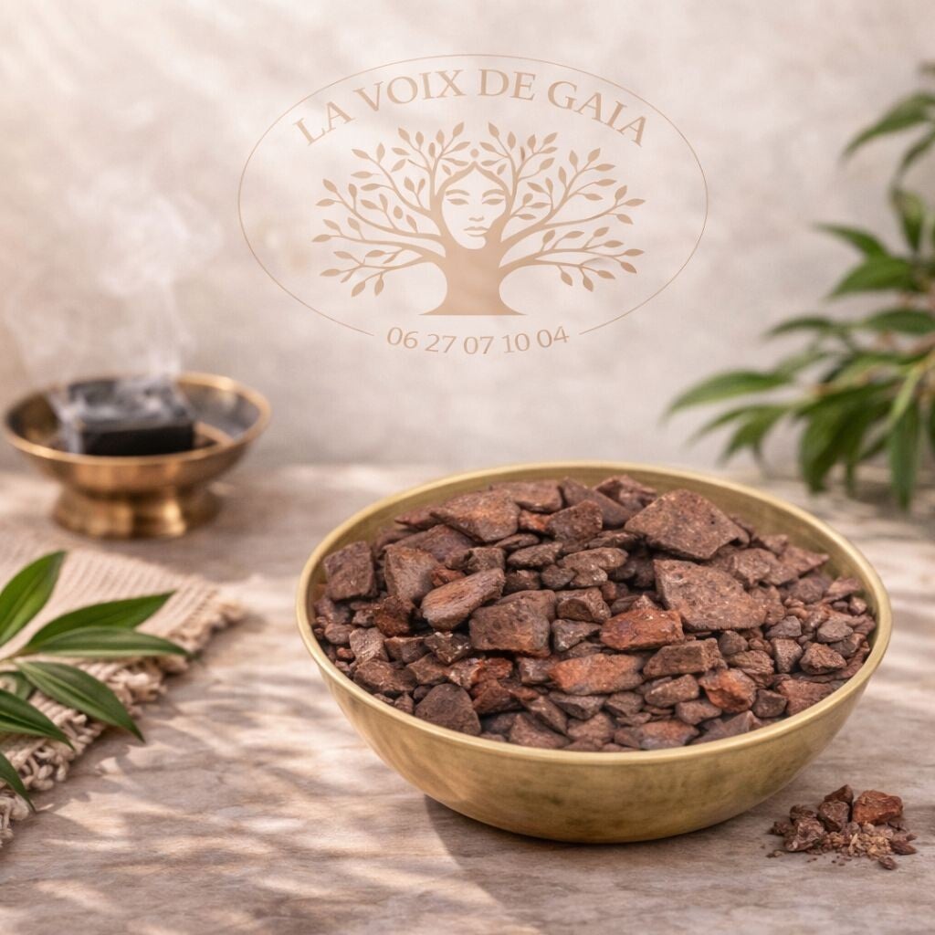 Encens en Grains Sang de Dragon