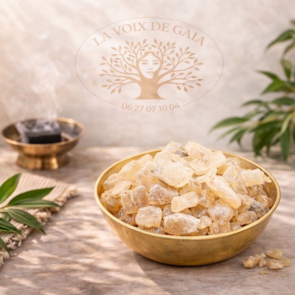 Encens en Grains de Somalie (Naturel)
