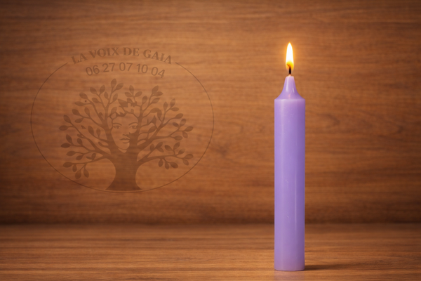 Bougies VIOLETTES