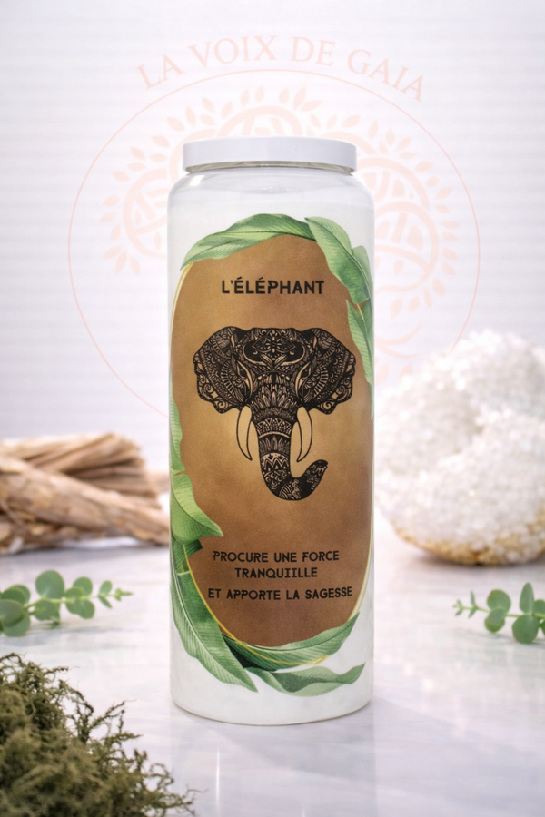 NEUVAINE ÉLÉPHANT