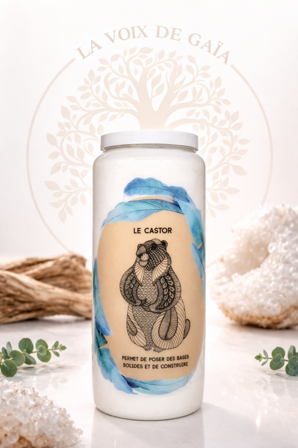 NEUVAINE CASTOR