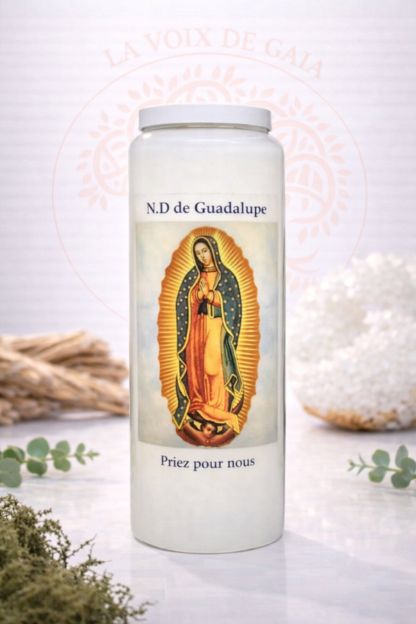 NEUVAINE NOTRE DAME DE GUADALUPE