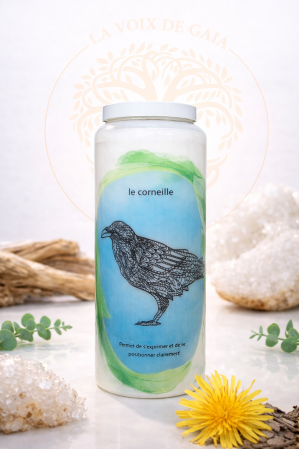 NEUVAINE CORNEILLE