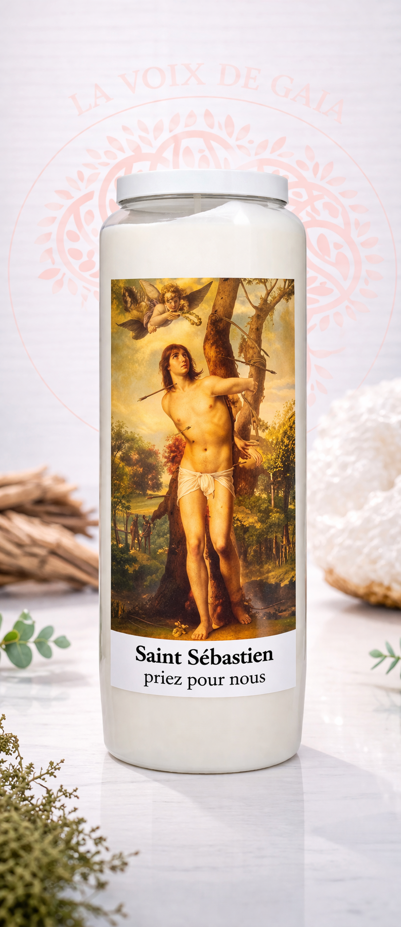 NEUVAINE ST SEBASTIEN