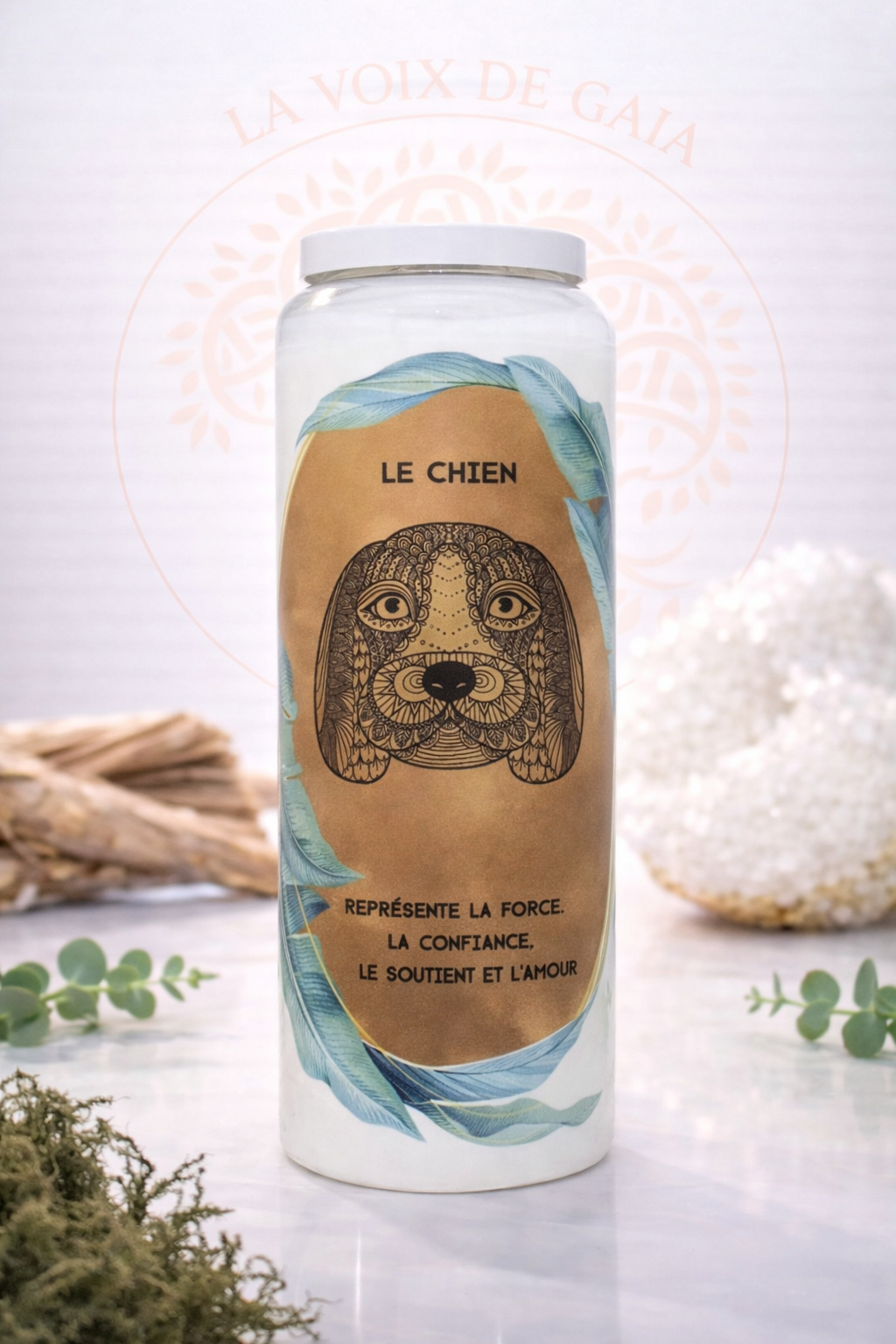 NEUVAINE CHIEN