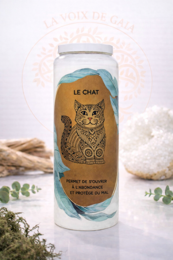NEUVAINE CHAT