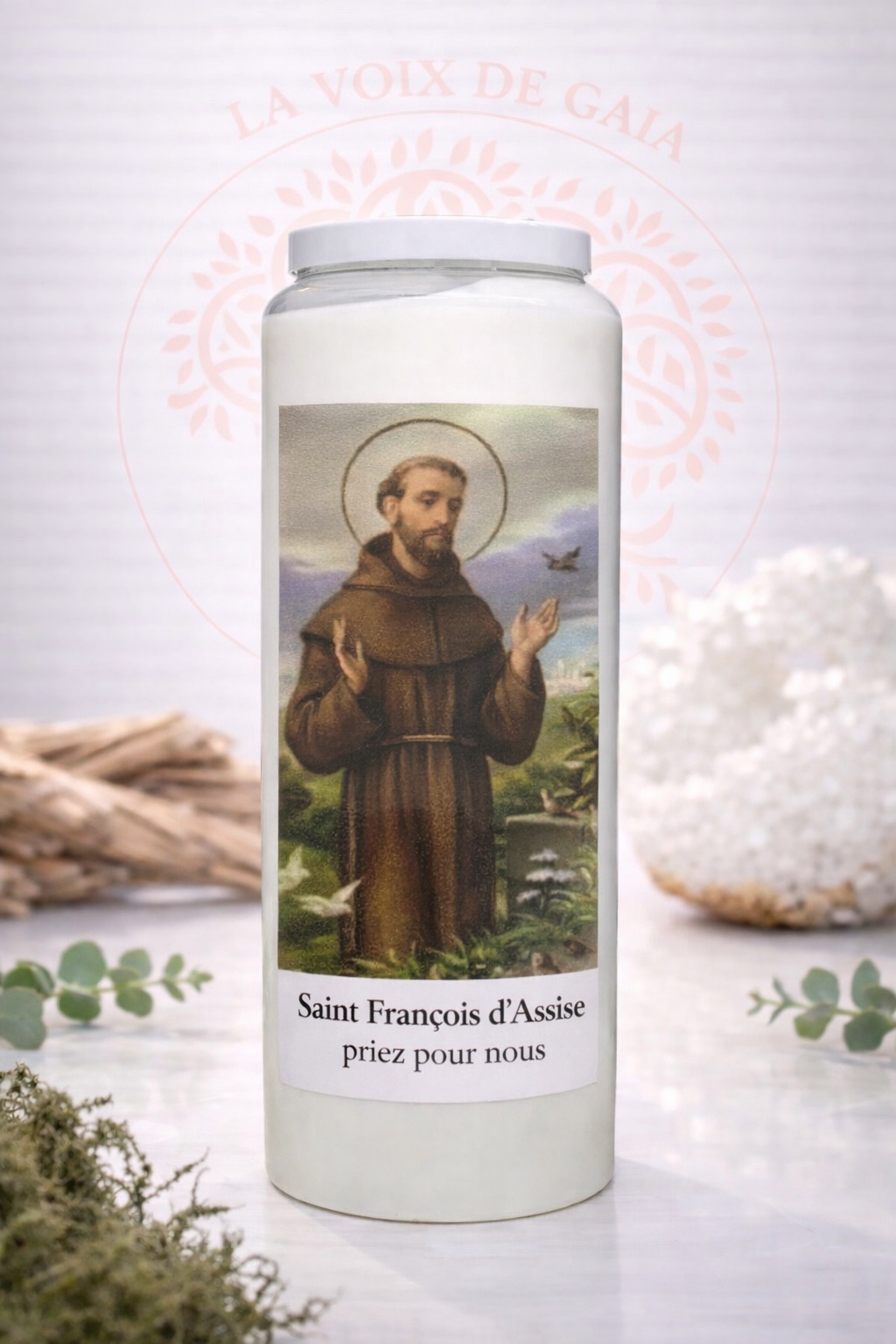 NEUVAINE A SAINT FRANÇOIS D’ ASSISE