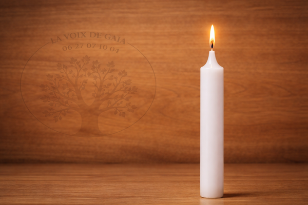 Bougies BLANCHES