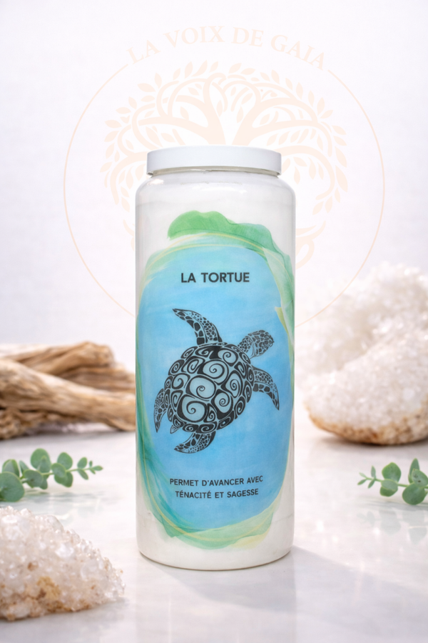 NEUVAINE TORTUE
