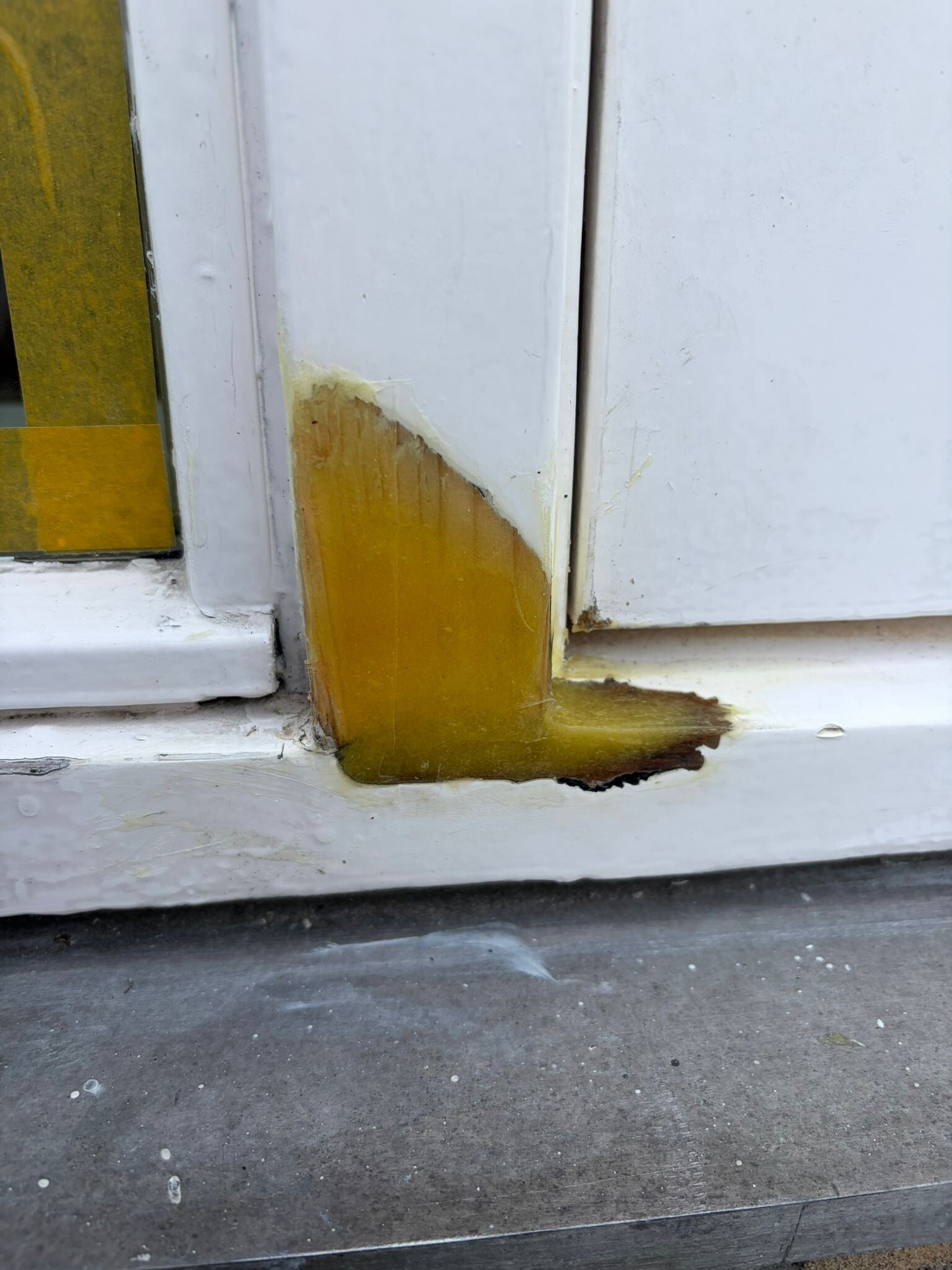 Houtrot reparatie Bunnik