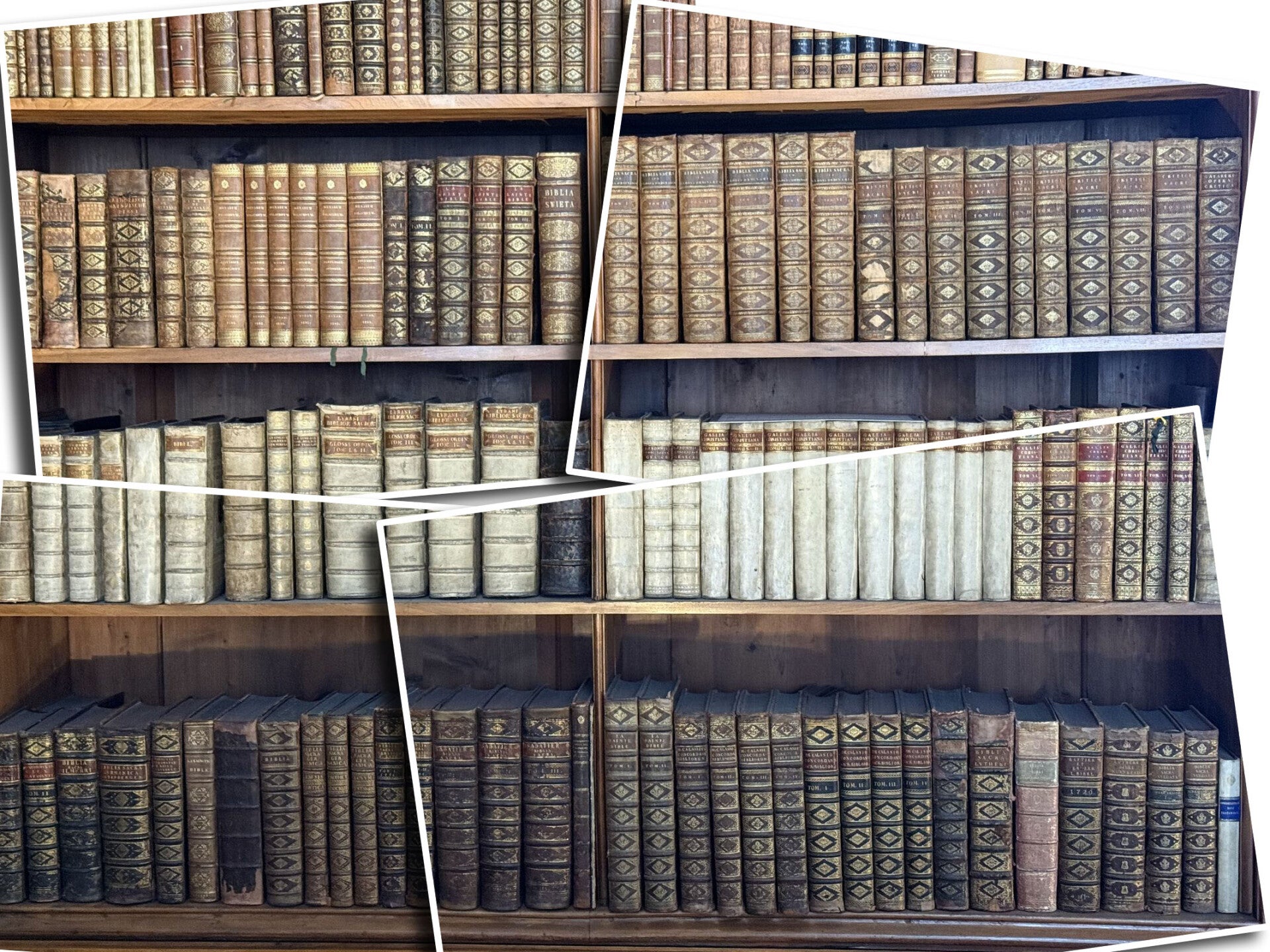 Ein Regal voller antiker Bücher in der Staatsbibliothek Wien.