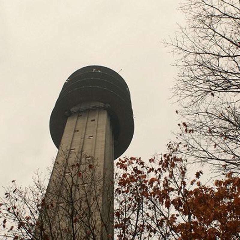 14-11-2016 - De top van de Toren.