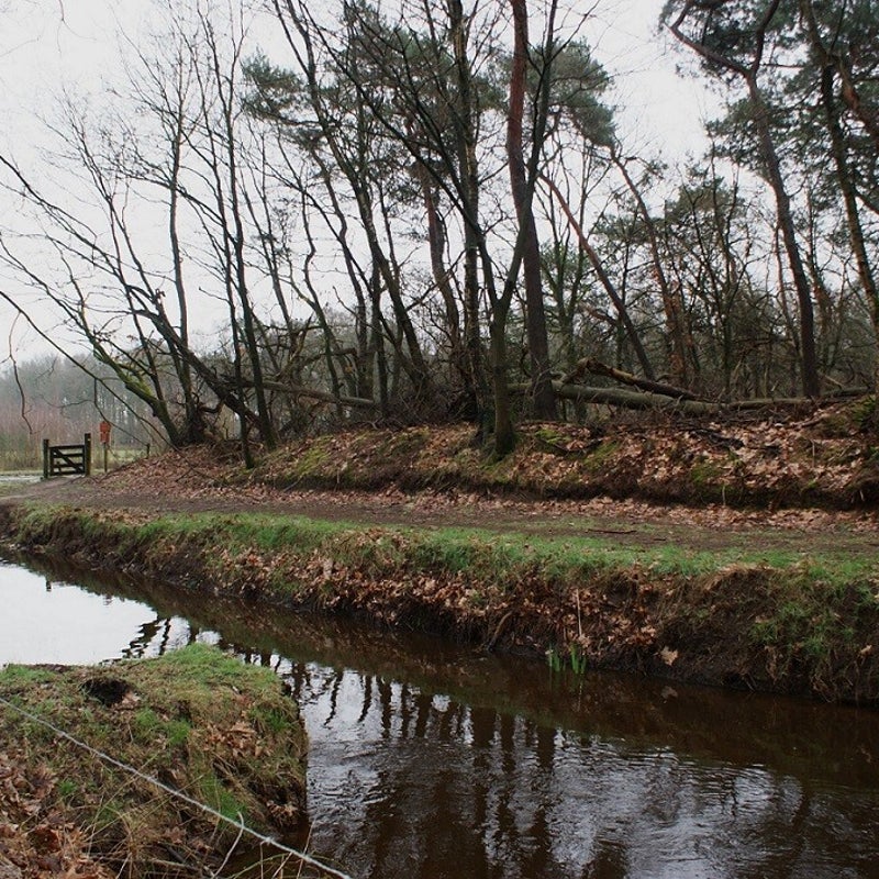 13-3-2013 - De Snelle Loop.