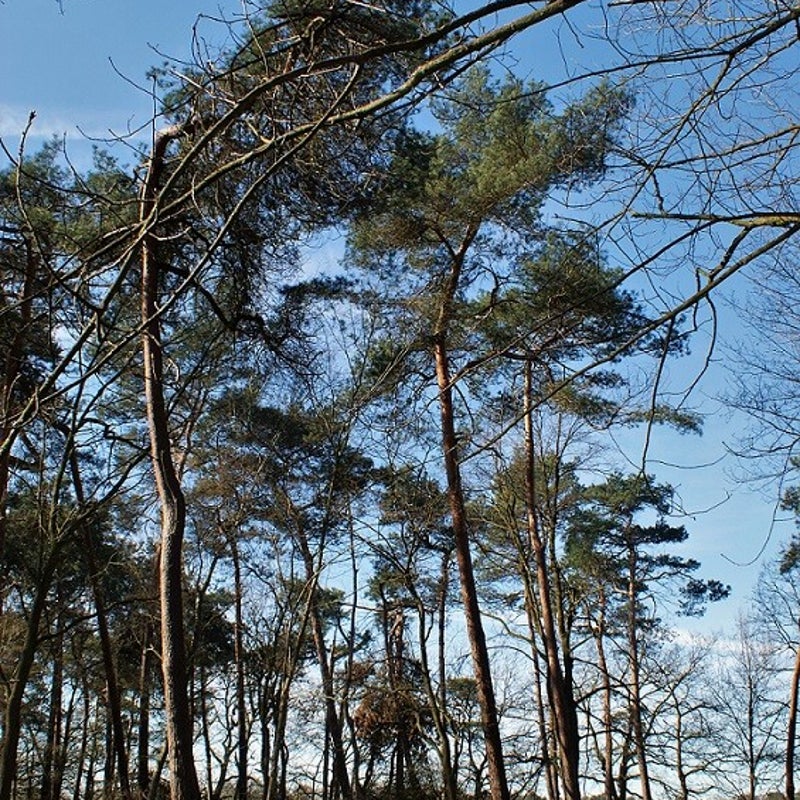 4-4-2023 - Sfeervol!