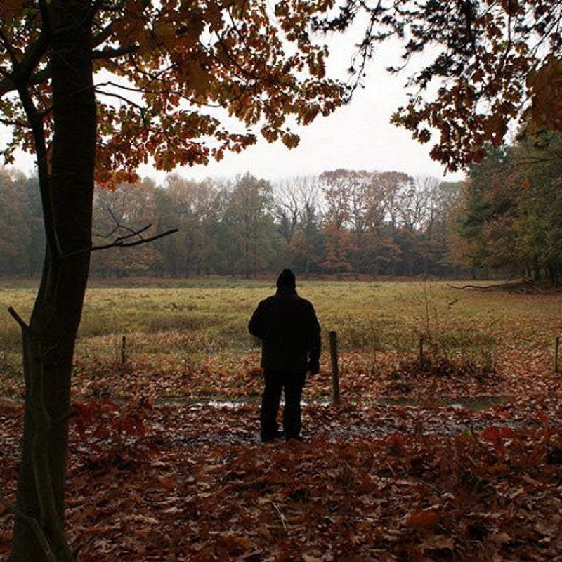 14-11-2016 - Sjef langs de Snelle Loop.