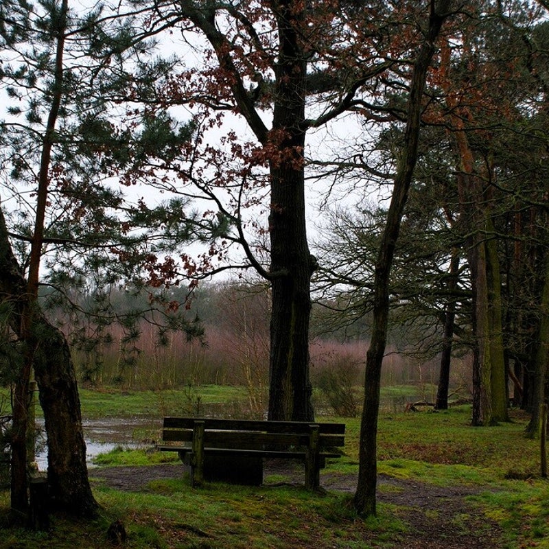 13-3-2024 - Nabij de Snelle Loop.