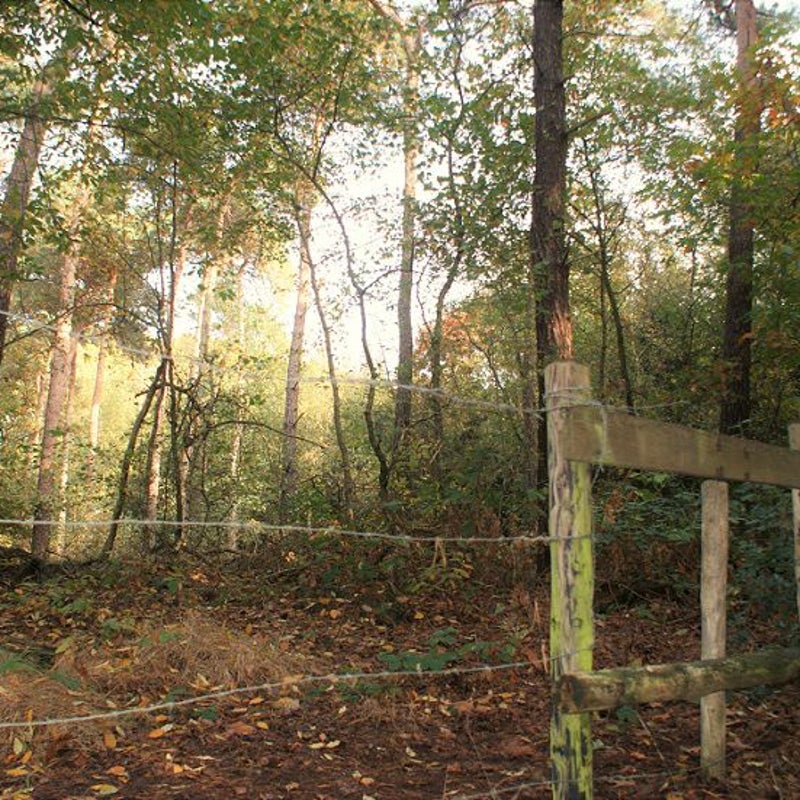 26-10-2016 - Mooi zonlicht.