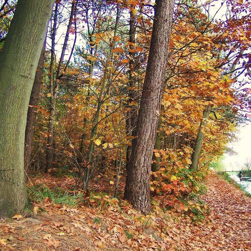 18-10-2007 - langs de Snelle Loop.