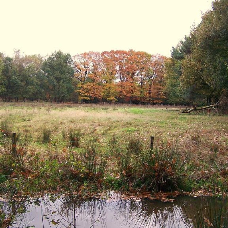 18-10-2007 - Sfeervol!