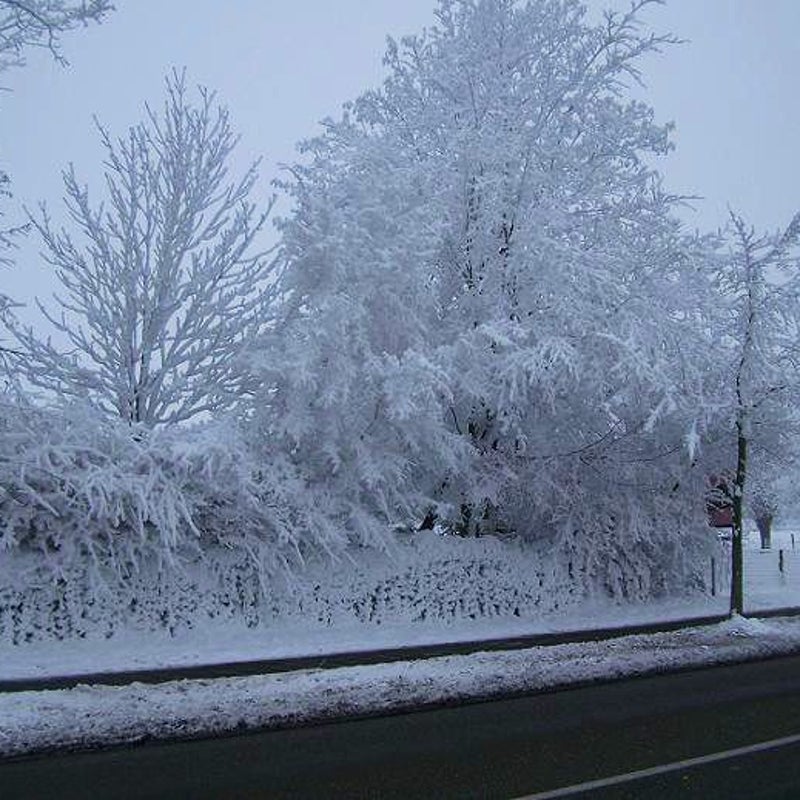 21-12-2007 - Langs de kant van de weg zie je dit.