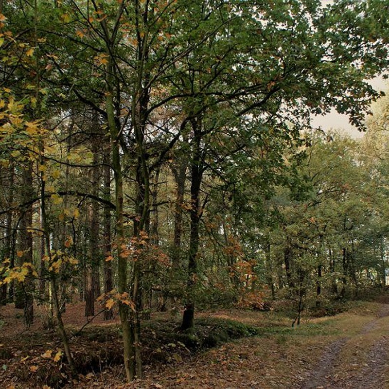 26-10-2016 - Sfeervol!