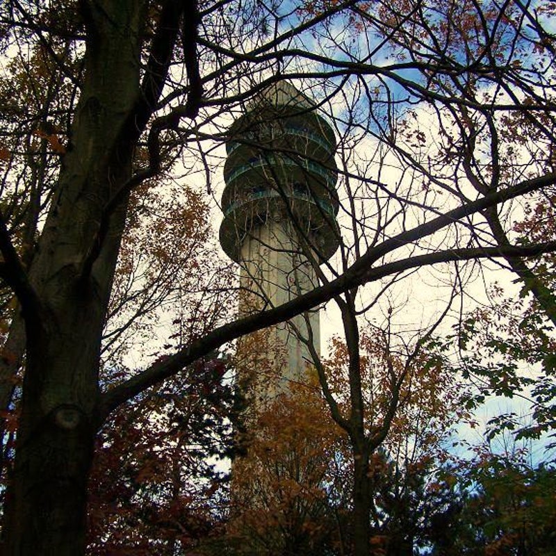 18-10-2007 - De Toren omringt met herfstbladeren.