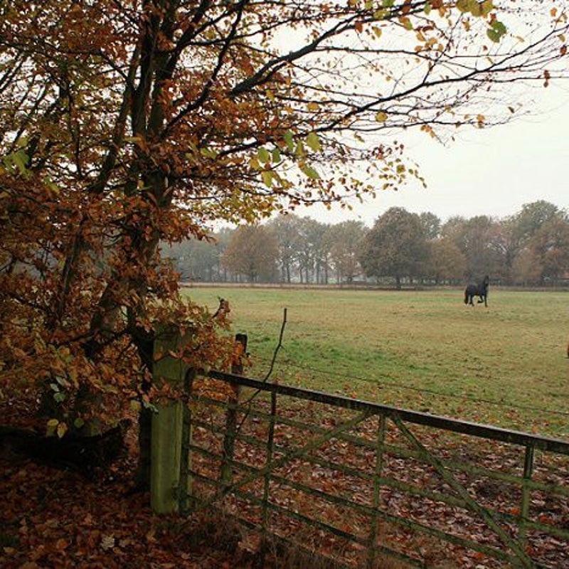 14-11-2016 - "Ik kom eraan, hoor!"