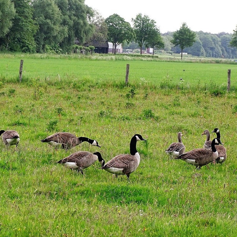 24-5-2023 - Ik begon tegen ze te kletsen.