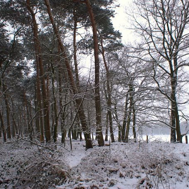 16-1-2013 - Spelen met licht.
