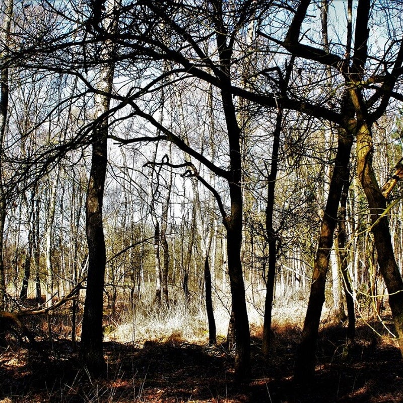 4-4-2023 - Tenslotte dit mooie sfeerbeeld.....