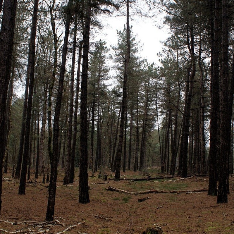 13-3-2024 - Sfeervol!