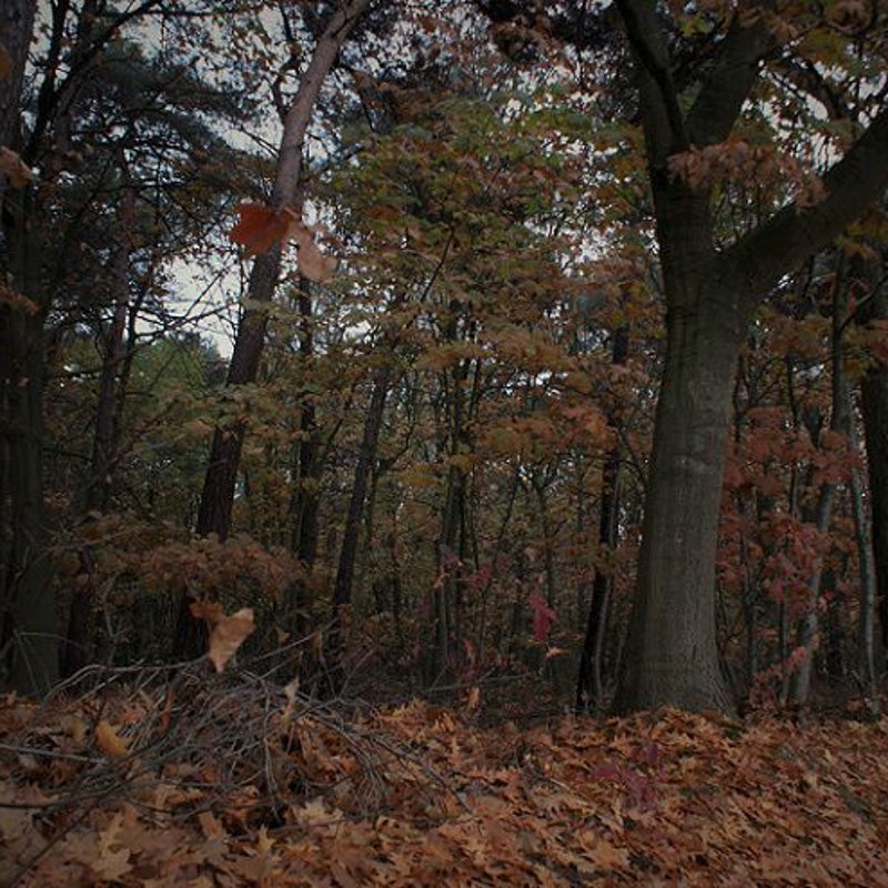 14-11-2016 - Sfeerbeeld.