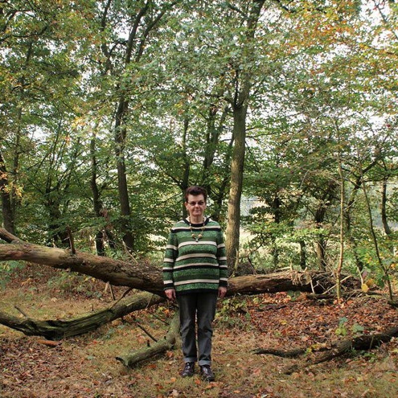 26-10-2016 - Ook een mooie sfeeropname!