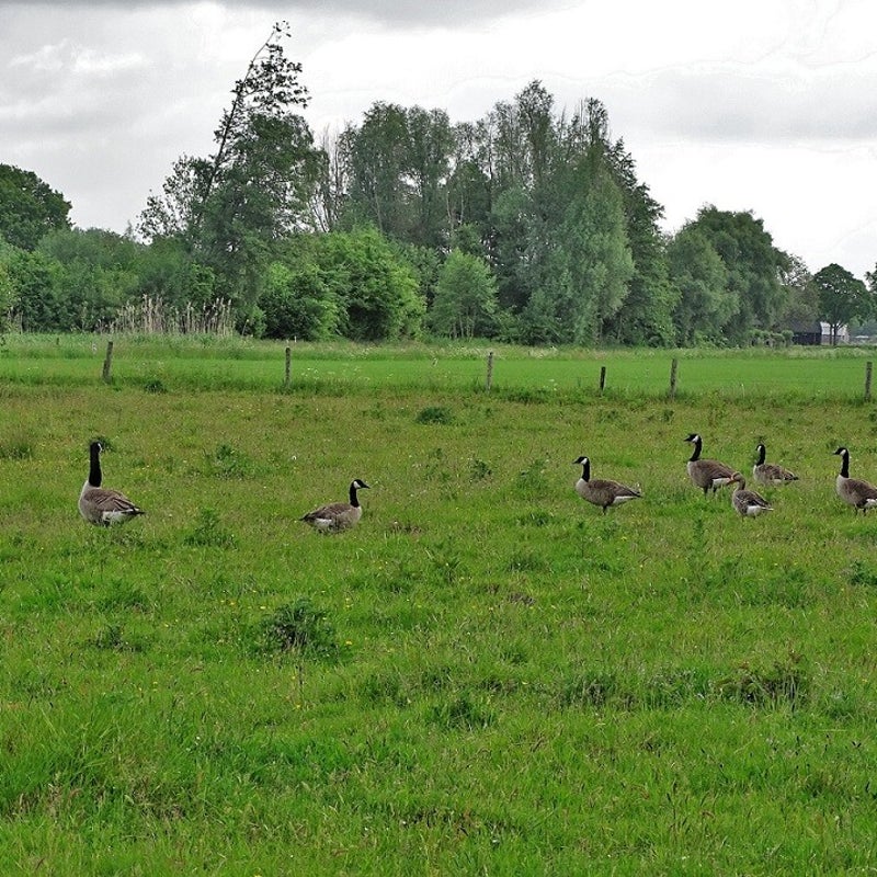 24-5-2023 - De groep.