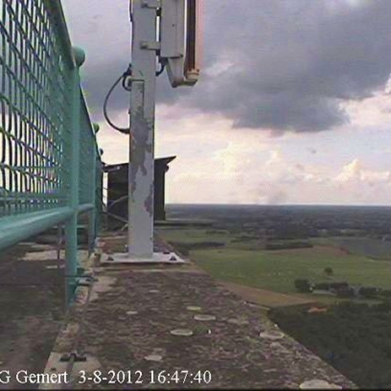3-8-2012 -- Sfeerbeeld.