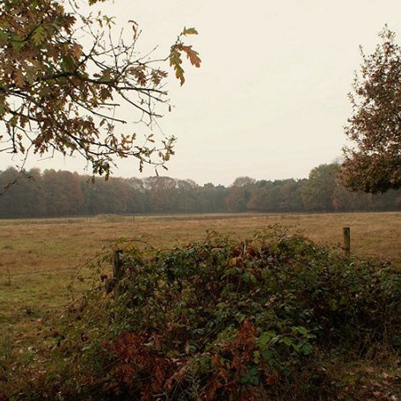 14-11-2016 - Het veld voor de spottersplaats.