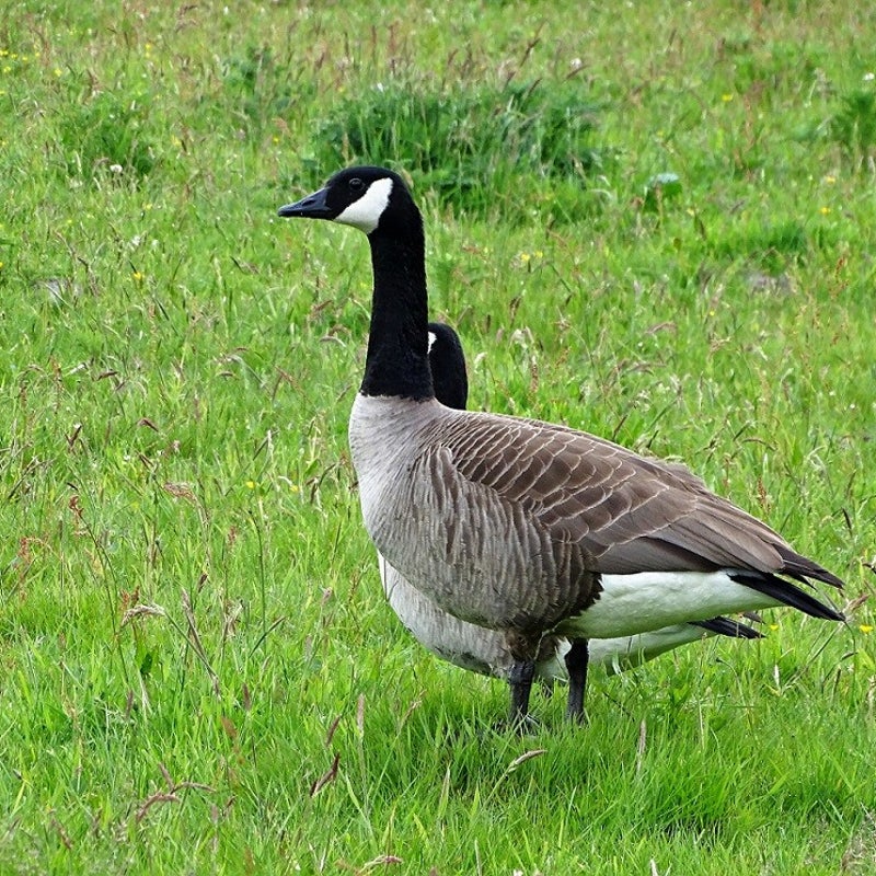 24-5-2023 - En toen nam ik afscheid van hen.