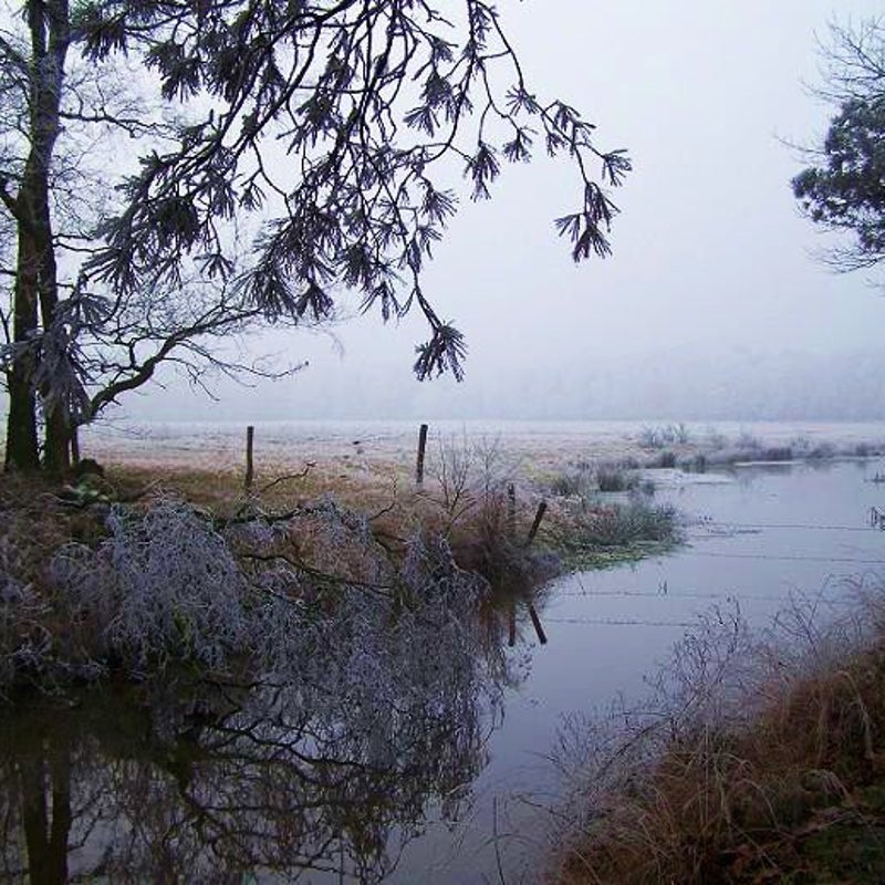 21-12-2007 - De Snelle Loop.