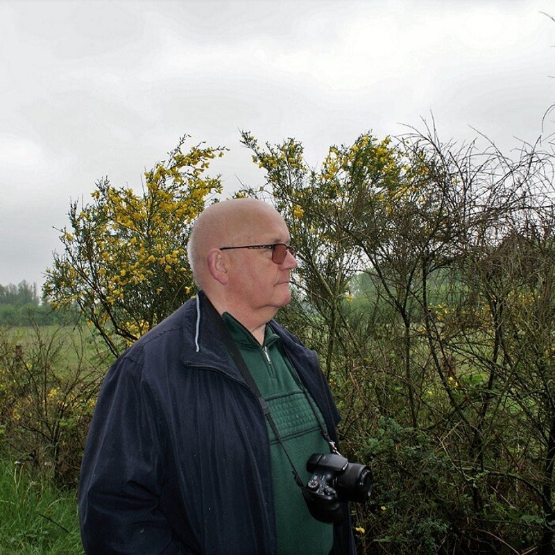 10-5-2023 - Sjef bij de gele brem.