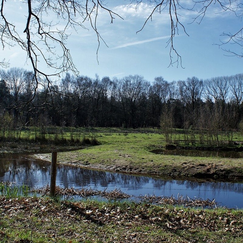 4-4-2023 - De Snelle Loop.