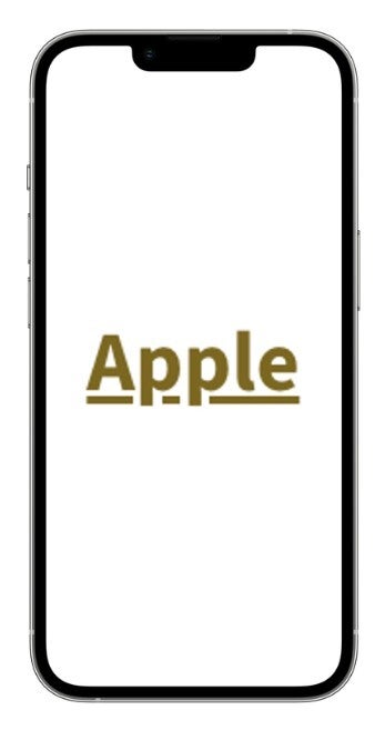 iPhone X 64 GB A Grade