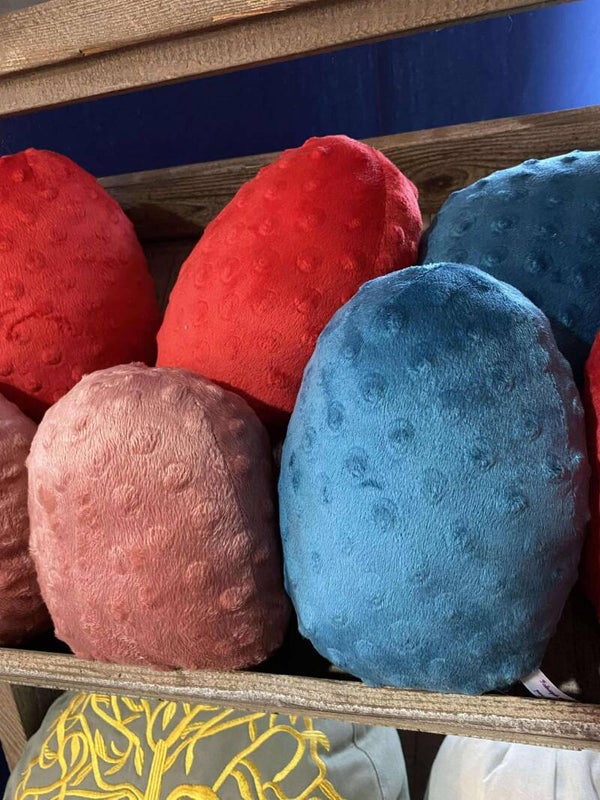 Oeufs de Faya