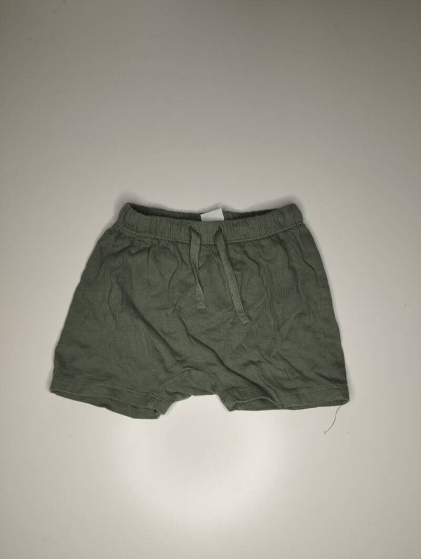 Hose