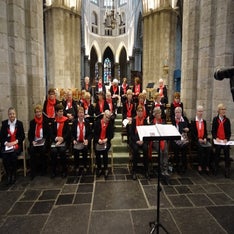 DSC05450-1.jpg