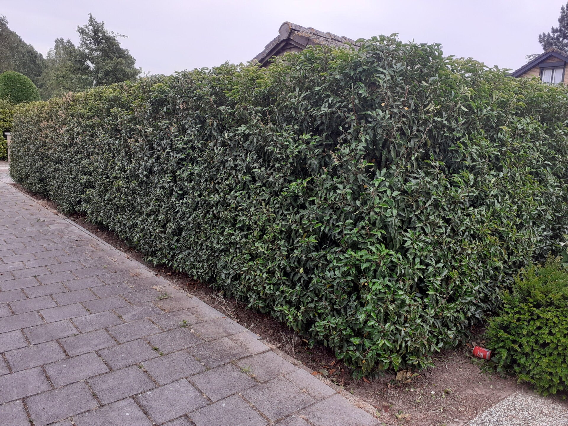 Zie meer over onderhoud