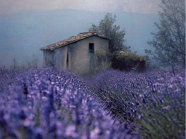 P2 Douceur de Provence