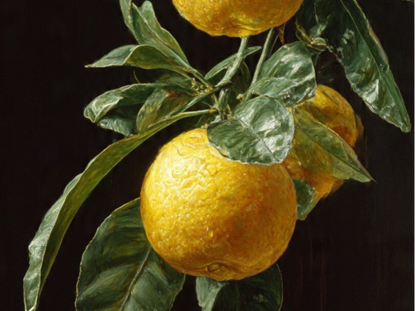 No. 25 Aube Écarlate