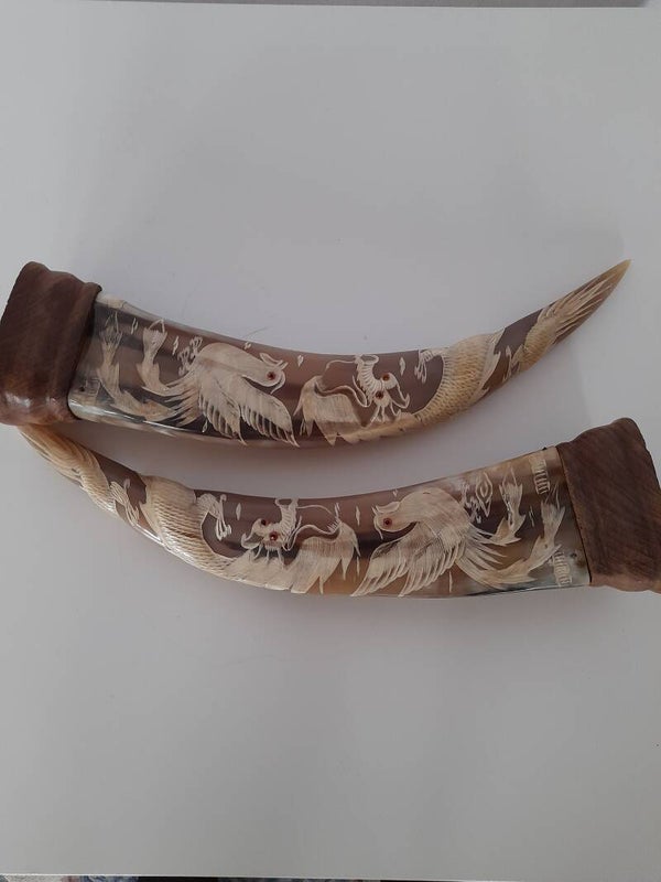 Paire de cornes asiatiques décorées