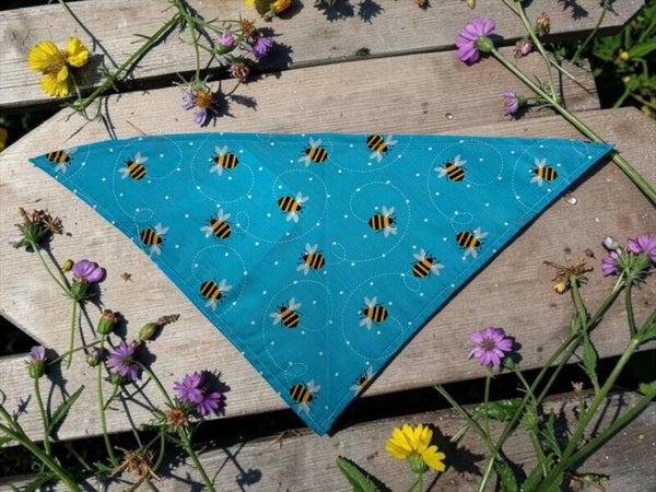 Dog & Cat Bandanas - Turquoise w/Bees