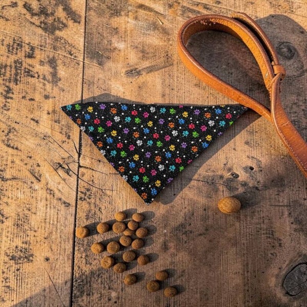 Dog & Cat Bandanas - Black w/colorful paw prints
